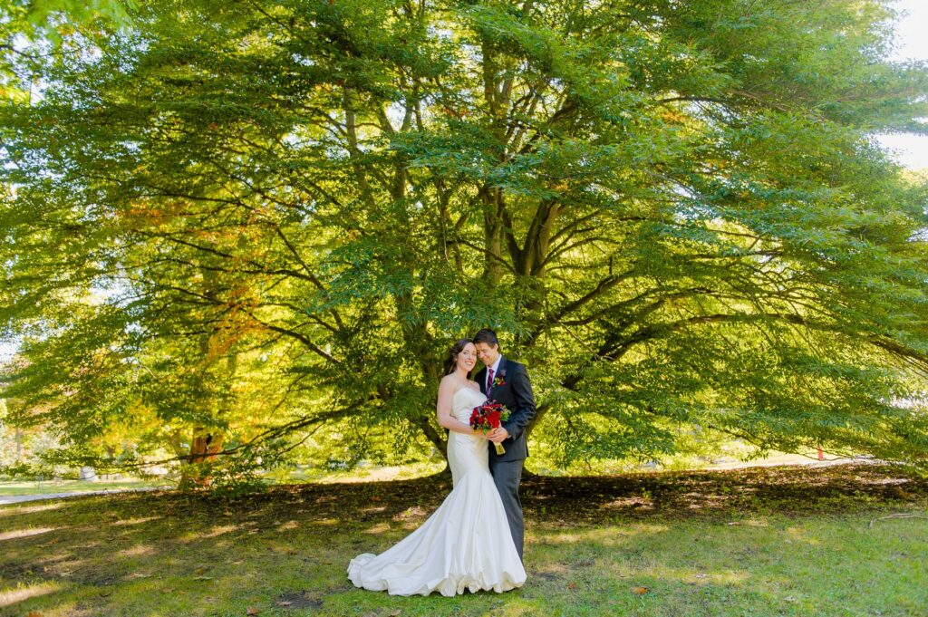 Boston Common Public Garden wedding summer