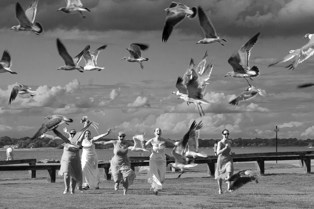 lesbian wedding party chasing birds