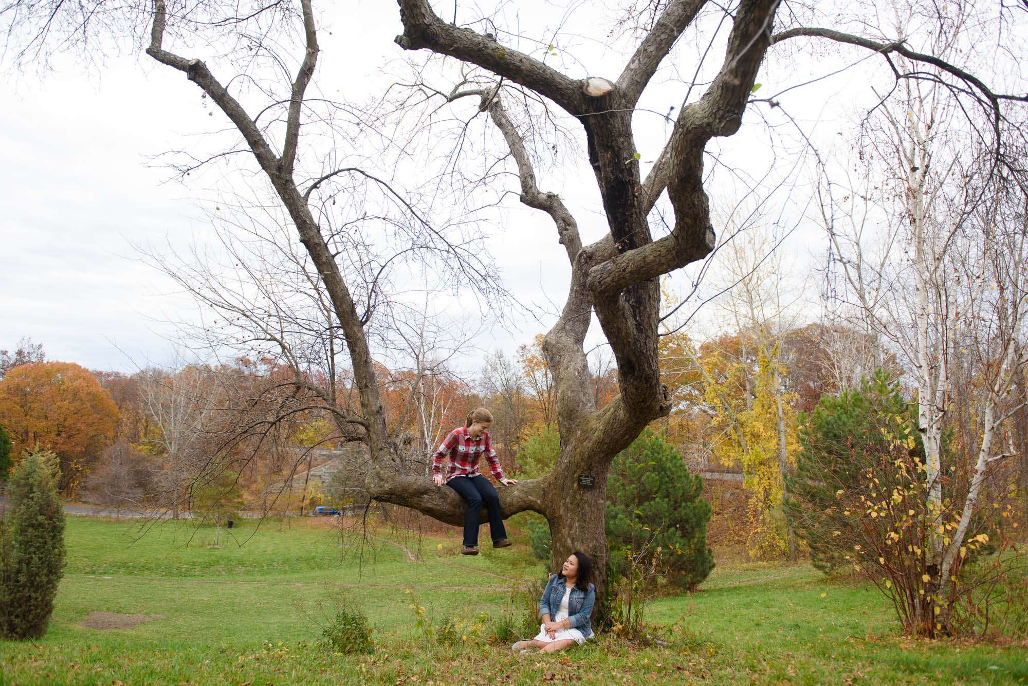Arnold Aboretum LGBTQ Engagement Session Lesbian Couple