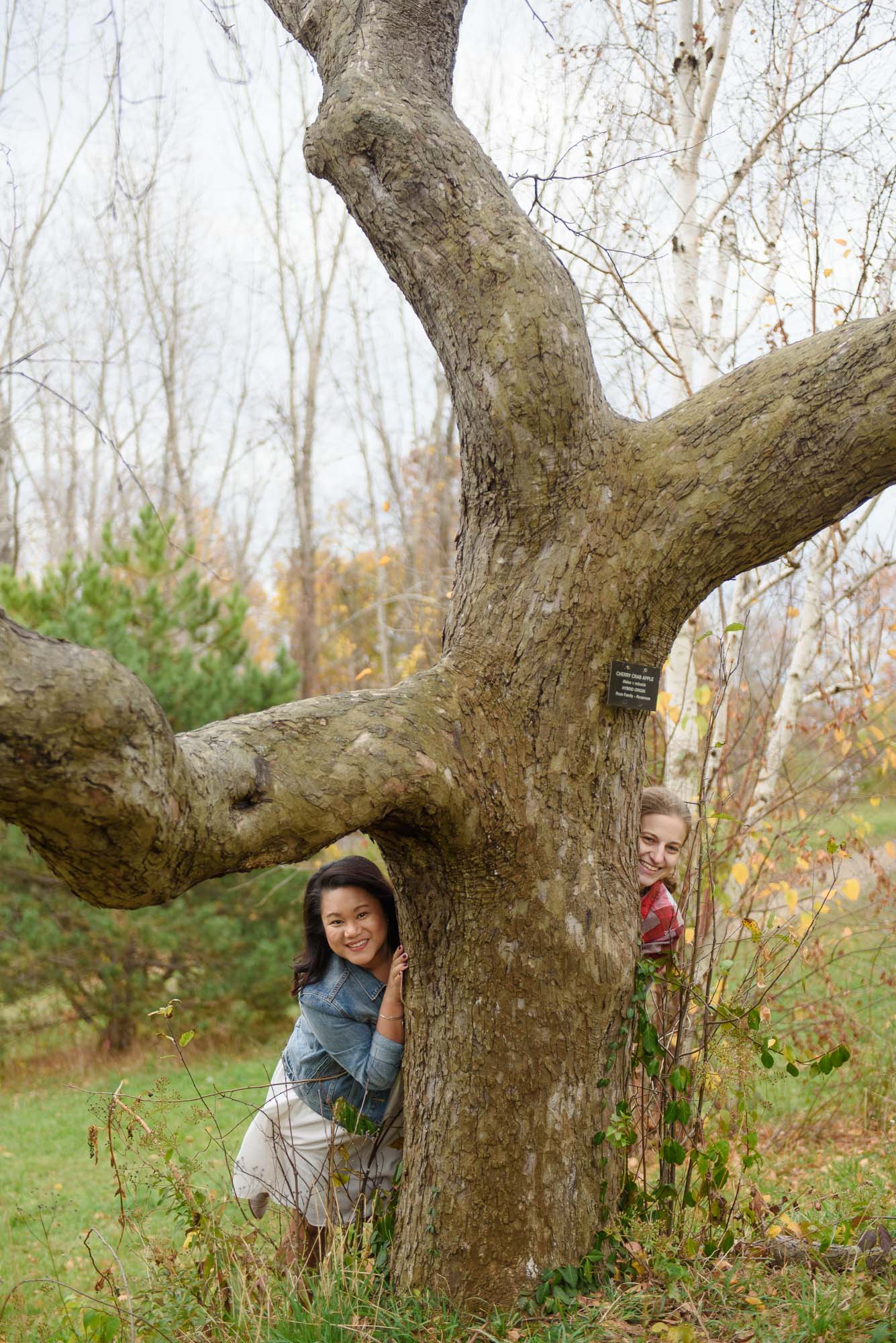 Arnold Aboretum LGBTQ Engagement Session Lesbian Couple