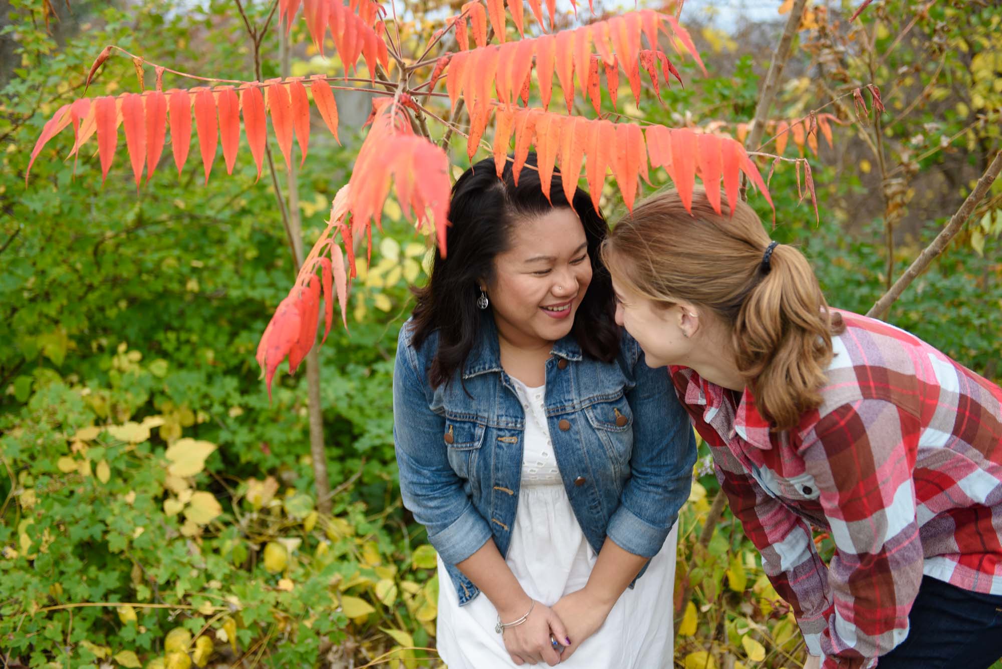 Arnold Aboretum LGBTQ Engagement Session Lesbian Couple Fall Foliage