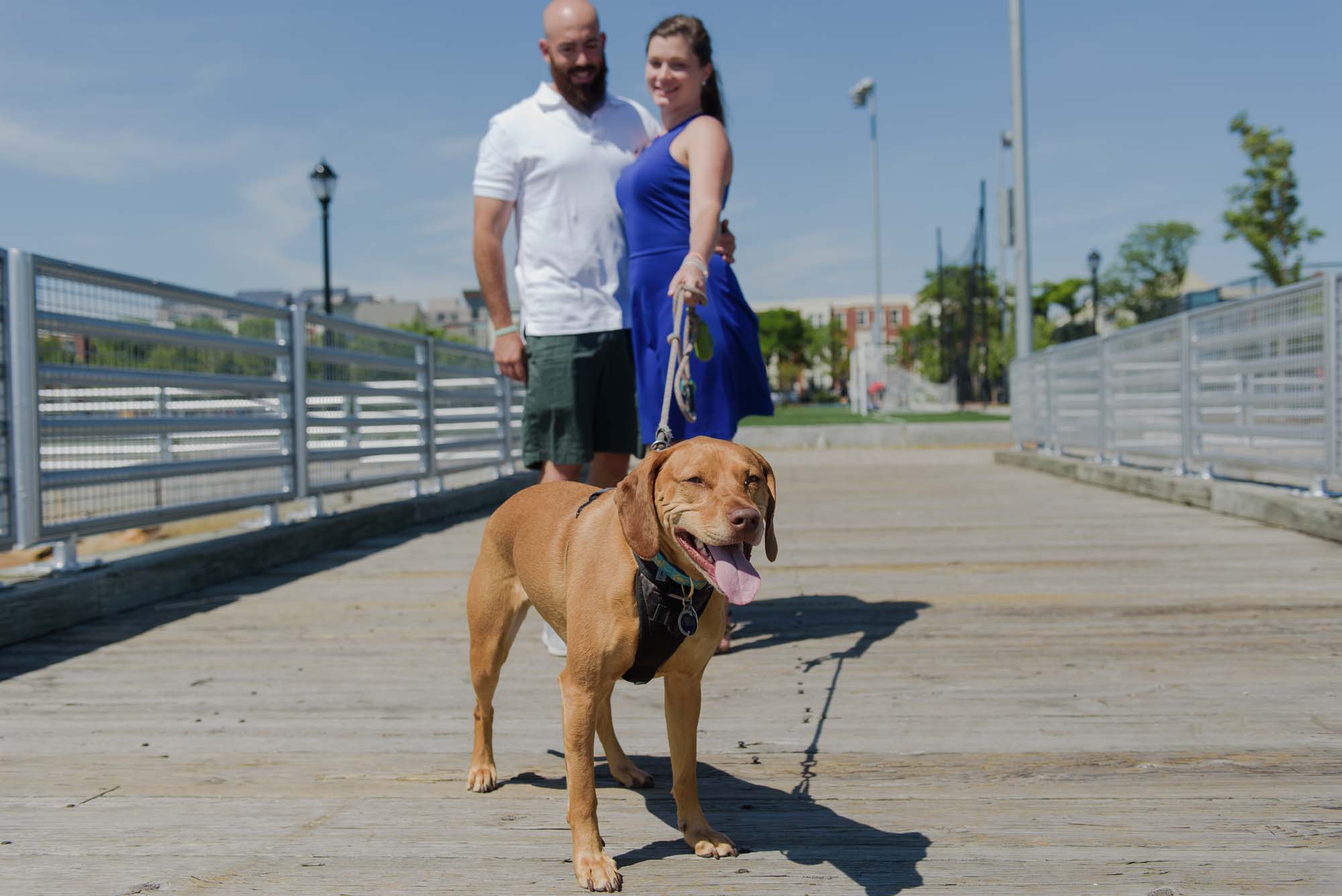 Boston Engagement Session With Dog LoPresti Park
