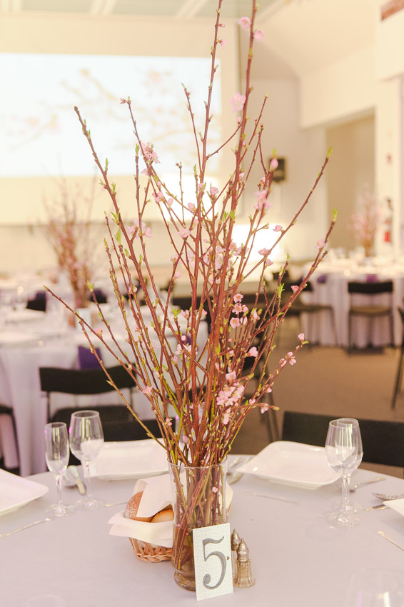 DeCordova Sculpture Park Museum Wedding