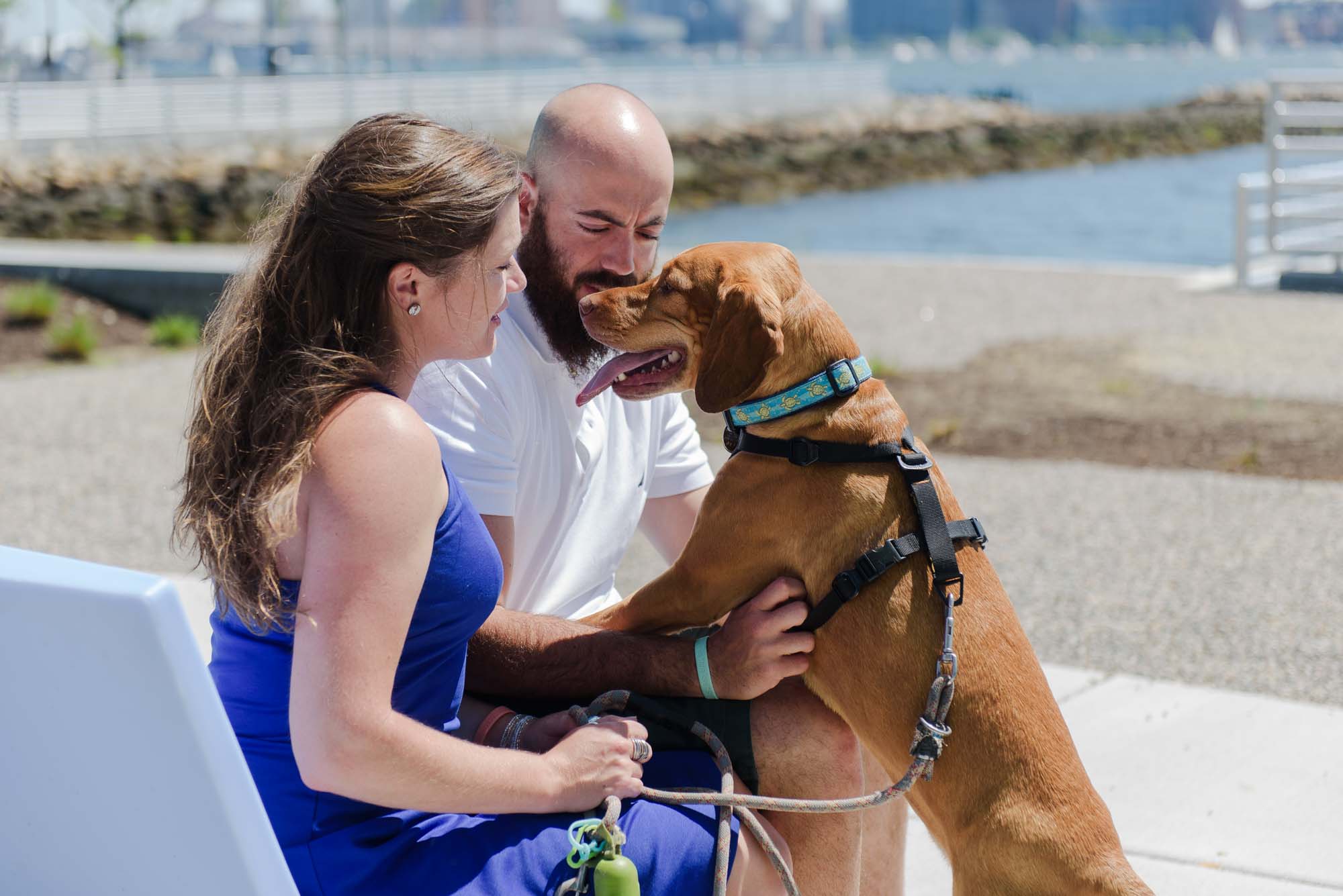 East Boston Engagement Session With Dog LoPresti Park