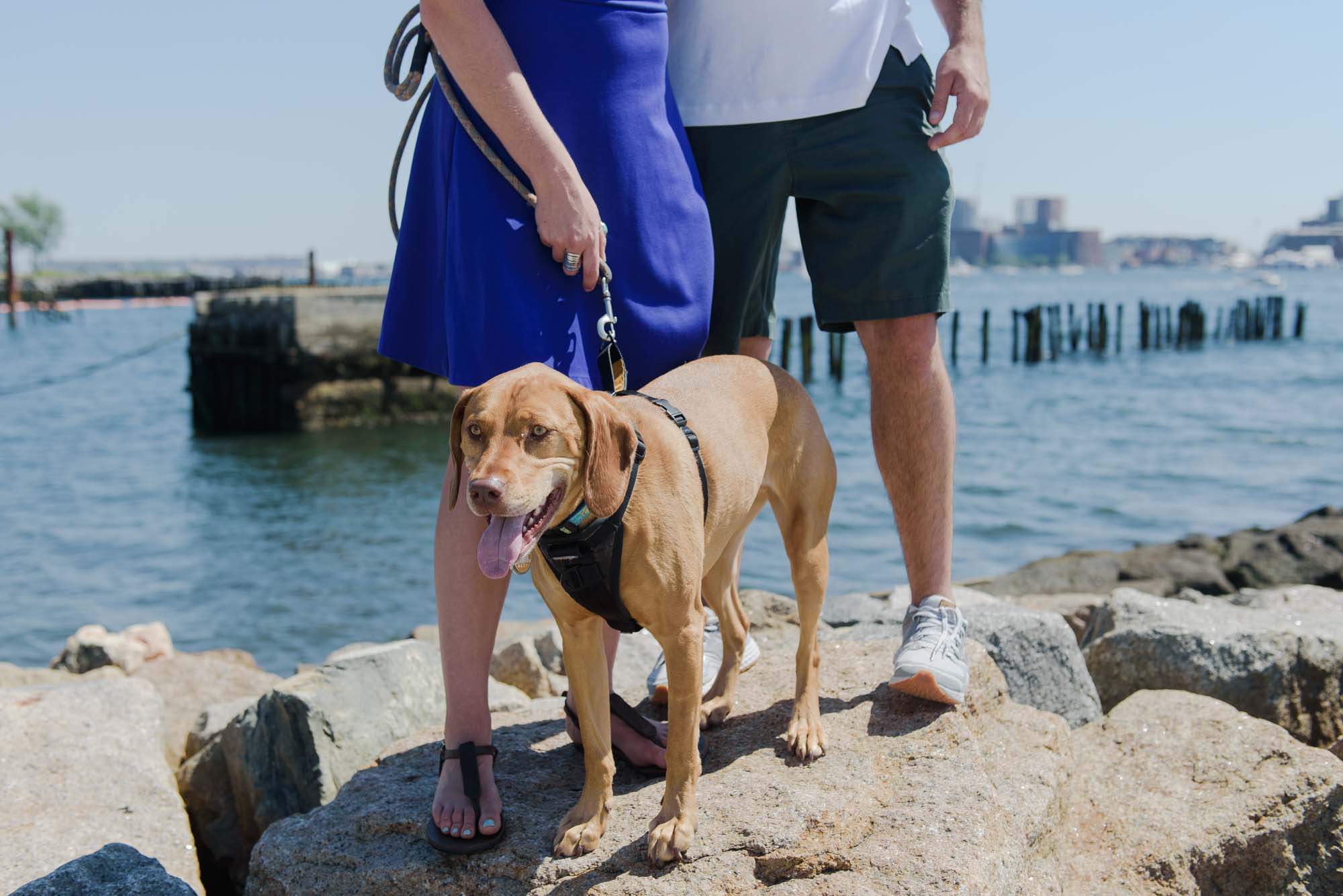 Engagement Session With Dog LoPresti Park