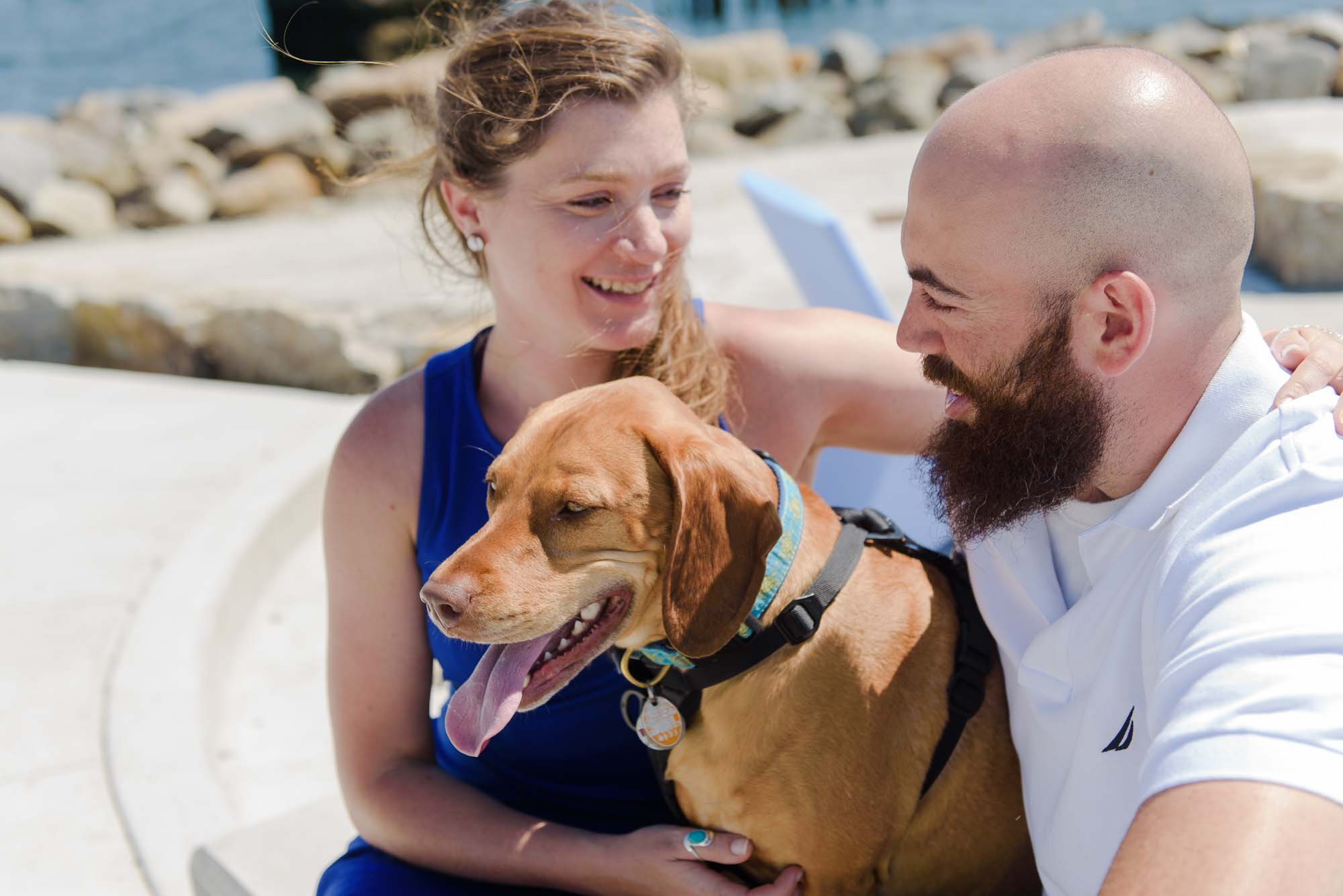 Engagement Session With Dog East Boston LoPresti Park