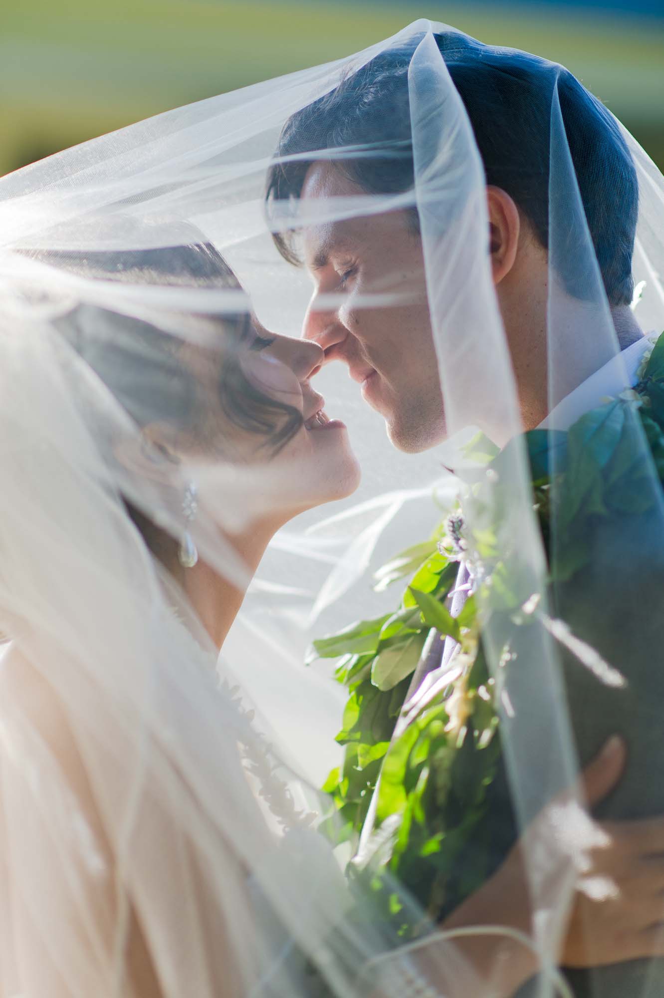 Lyman Estate Wedding Bride Groom Under Veil