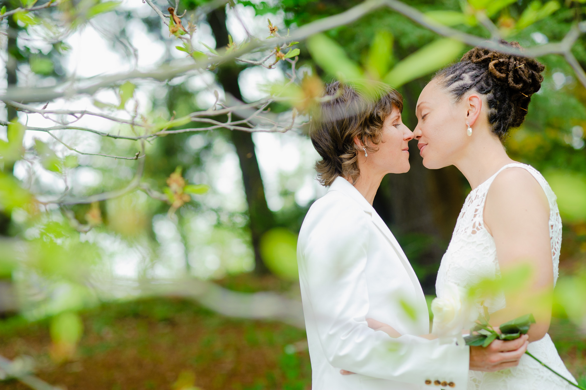 Arnold Arboretum Intimate Wedding & Elopement Planning Guide