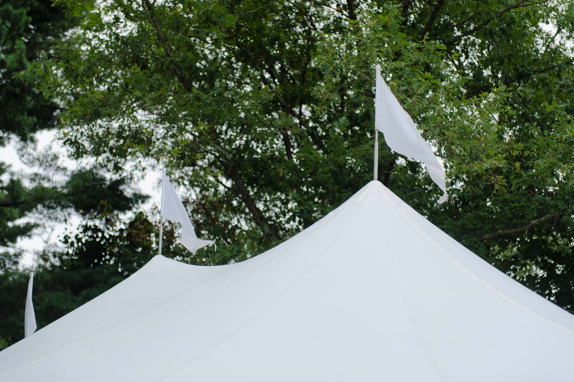 Backyard Wedding Reception White Tent