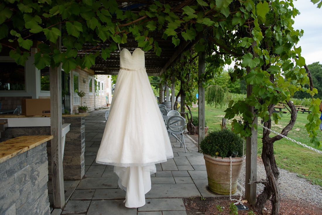 Rustic Farm Wedding Gown