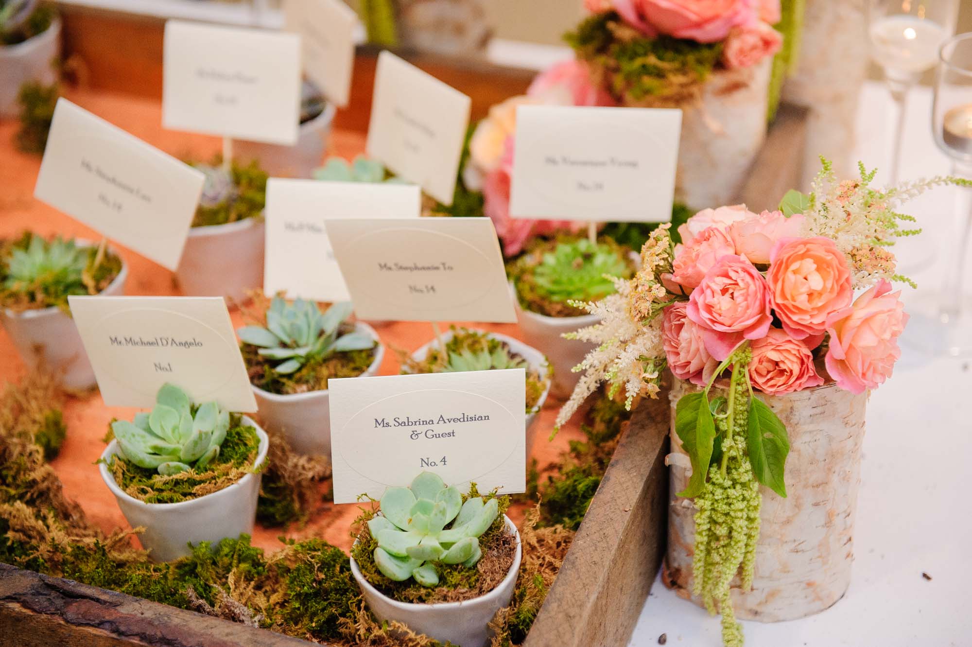 Succulent Wedding Guest Placecards Omni Mount Washington Resort